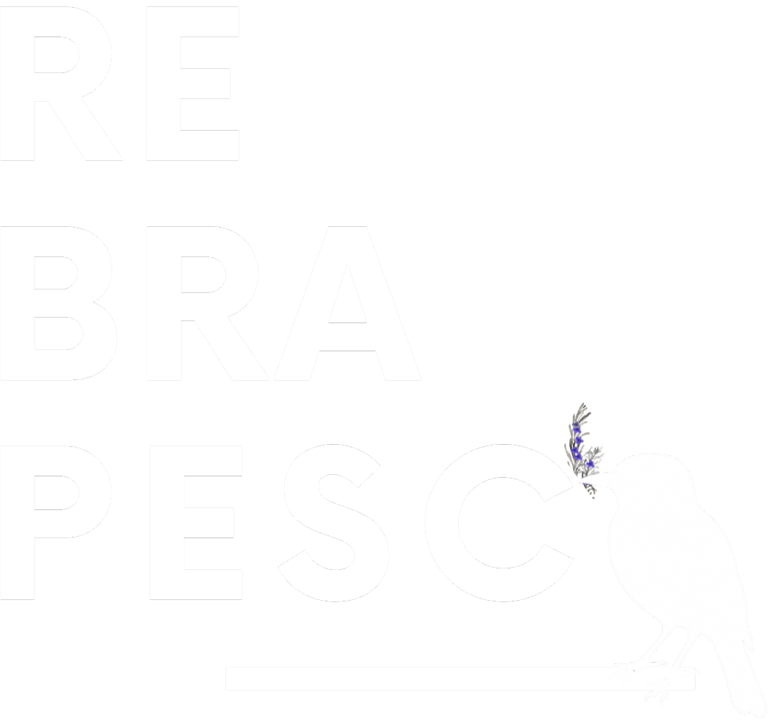 Apoiador